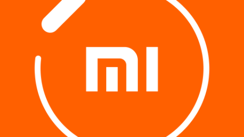 Mi Fit