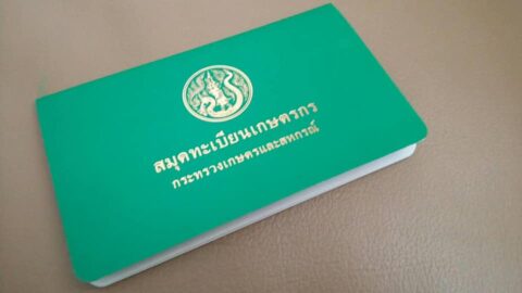 วิธีลงทะเบียนรับเงินช่วยเหลือเยียวยาเกษตรกร 15,000 บาท
