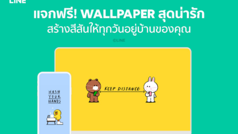 LINE แจกฟรี WALLPAPER BROWN & FRIENDS สำหรับมือถือ และ PC